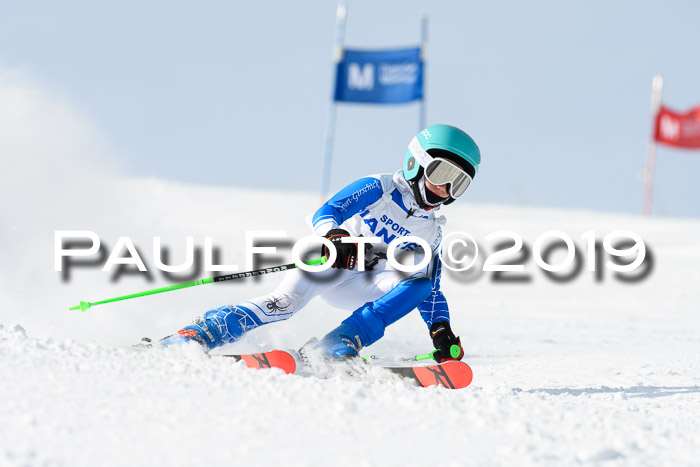 SVM U8, U10, U12, SechzgerPokal 2019