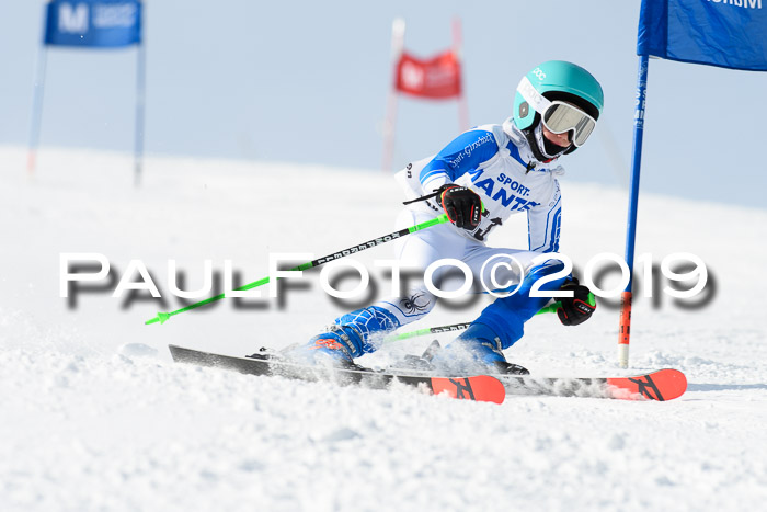 SVM U8, U10, U12, SechzgerPokal 2019