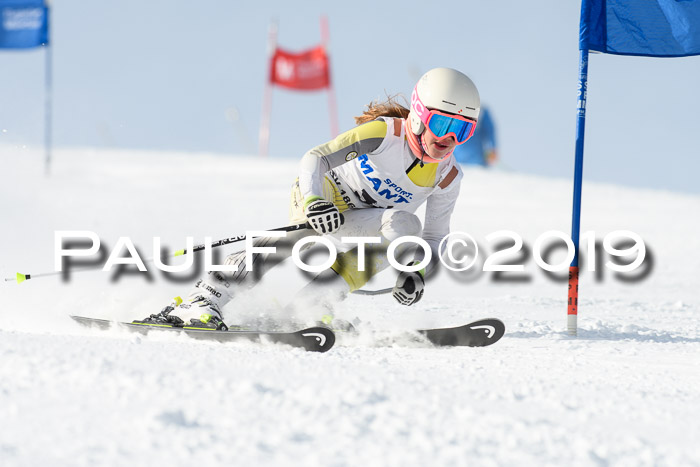 SVM U8, U10, U12, SechzgerPokal 2019