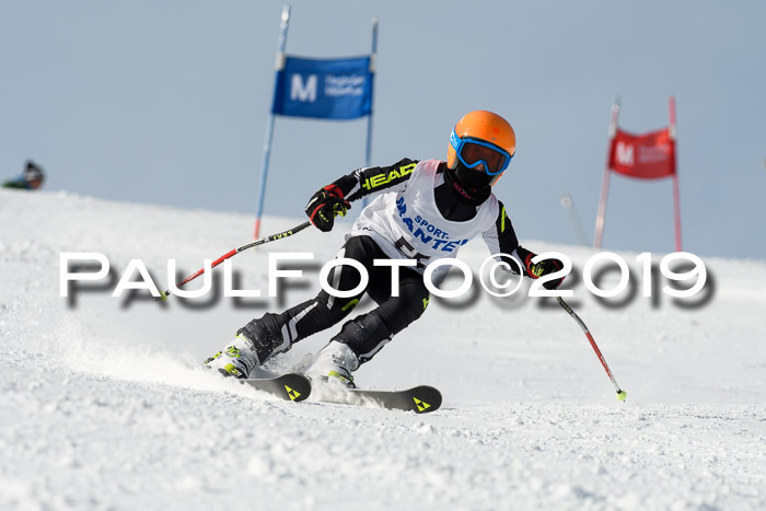 SVM U8, U10, U12, SechzgerPokal 2019
