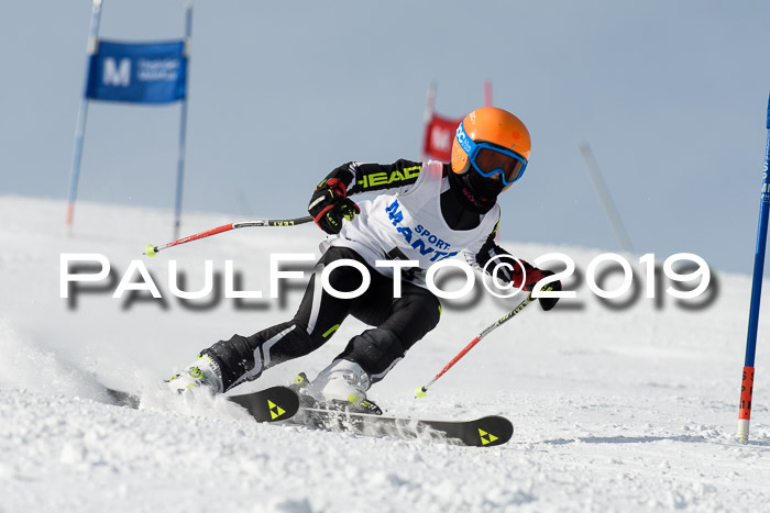 SVM U8, U10, U12, SechzgerPokal 2019
