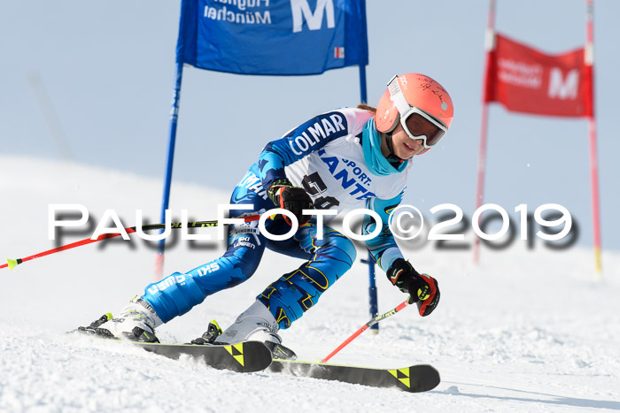 SVM U8, U10, U12, SechzgerPokal 2019