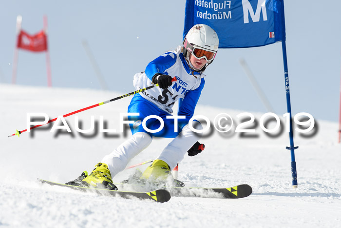 SVM U8, U10, U12, SechzgerPokal 2019