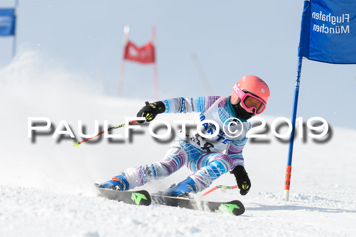 SVM U8, U10, U12, SechzgerPokal 2019