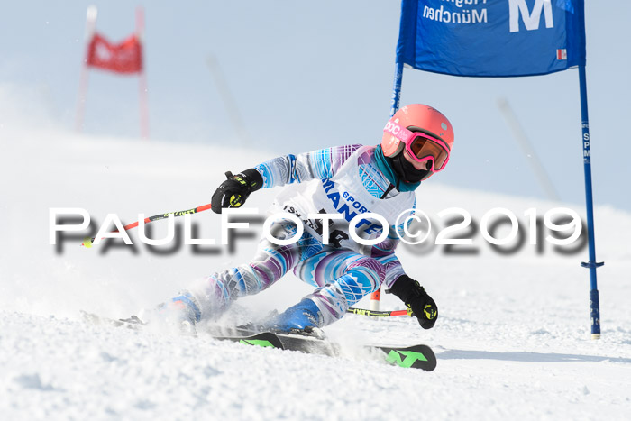 SVM U8, U10, U12, SechzgerPokal 2019