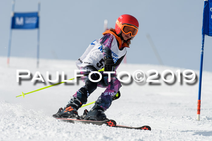 SVM U8, U10, U12, SechzgerPokal 2019