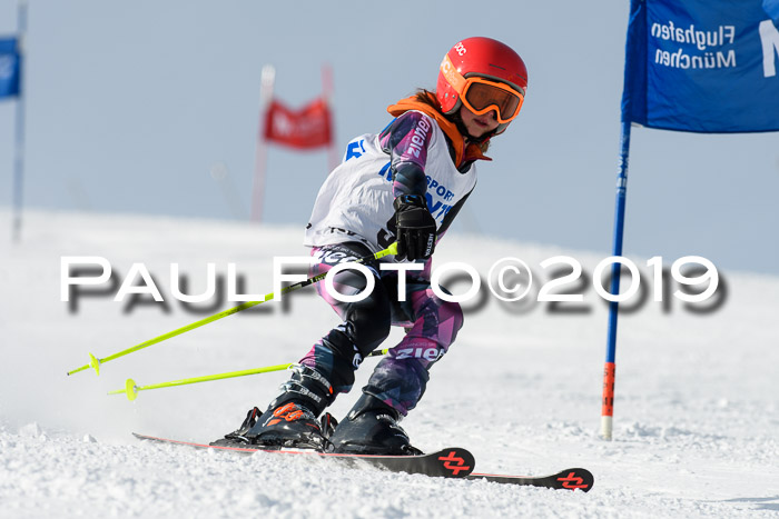 SVM U8, U10, U12, SechzgerPokal 2019