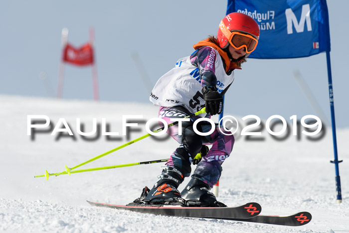 SVM U8, U10, U12, SechzgerPokal 2019