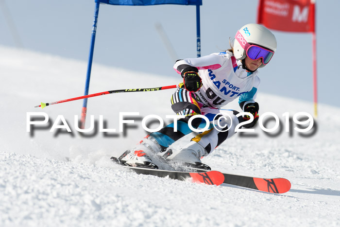 SVM U8, U10, U12, SechzgerPokal 2019