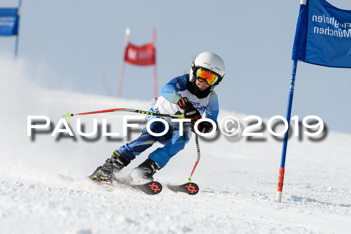 SVM U8, U10, U12, SechzgerPokal 2019