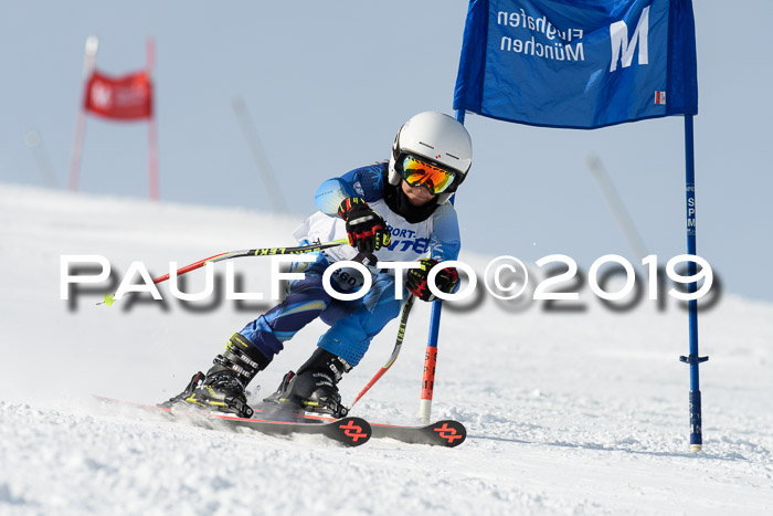 SVM U8, U10, U12, SechzgerPokal 2019