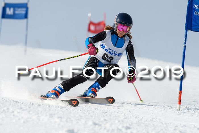 SVM U8, U10, U12, SechzgerPokal 2019