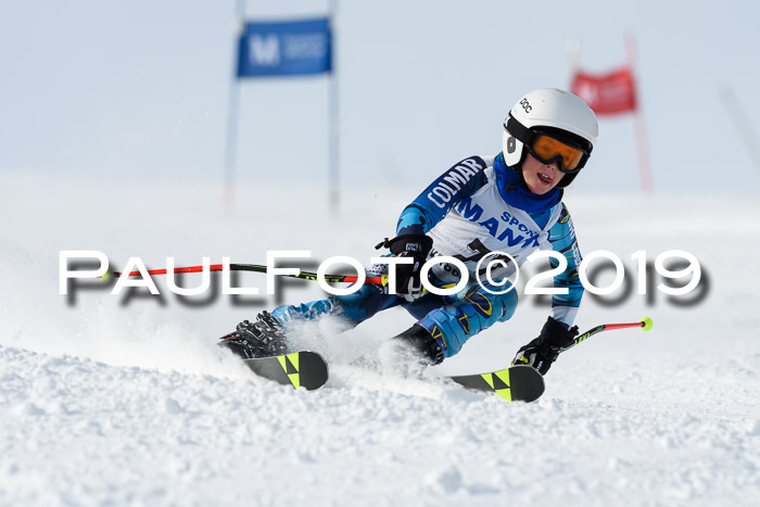 SVM U8, U10, U12, SechzgerPokal 2019