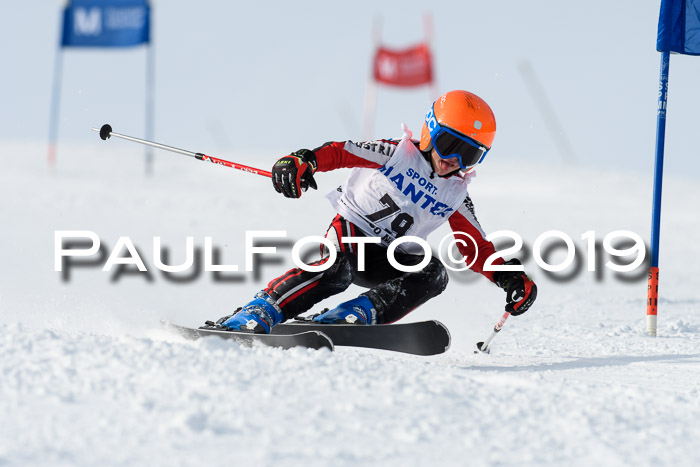 SVM U8, U10, U12, SechzgerPokal 2019