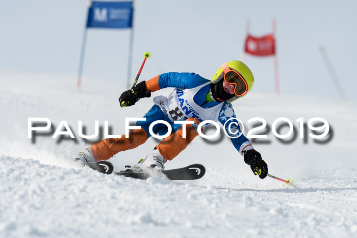 SVM U8, U10, U12, SechzgerPokal 2019