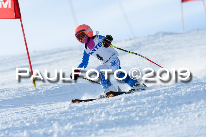 SVM U8, U10, U12, SechzgerPokal 2019