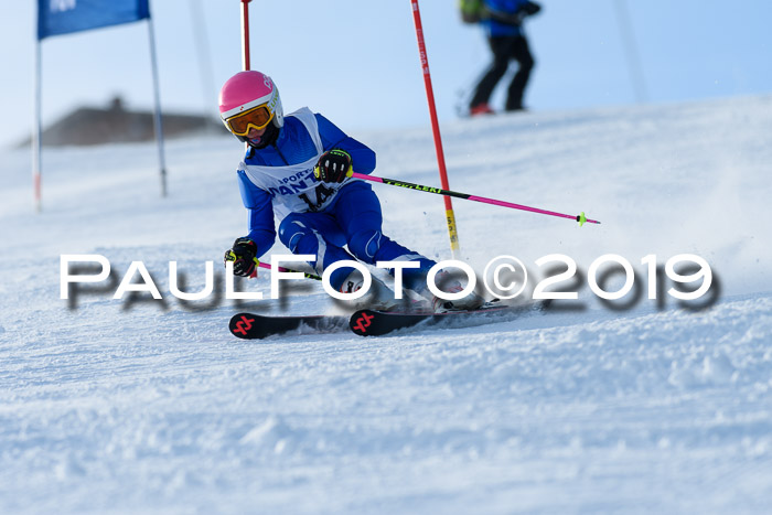 SVM U8, U10, U12, SechzgerPokal 2019