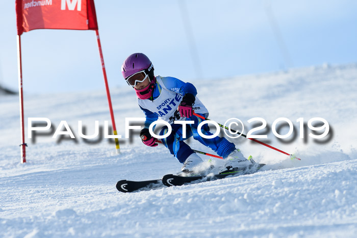 SVM U8, U10, U12, SechzgerPokal 2019