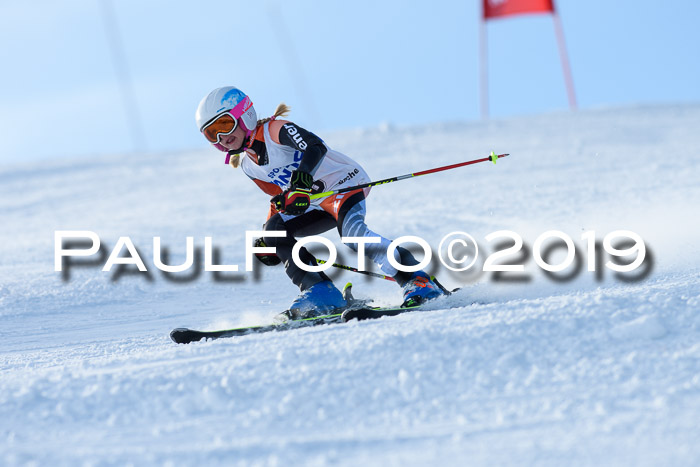 SVM U8, U10, U12, SechzgerPokal 2019
