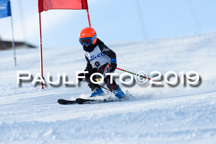 SVM U8, U10, U12, SechzgerPokal 2019