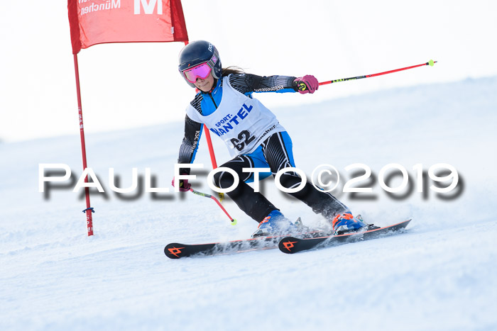 SVM U8, U10, U12, SechzgerPokal 2019