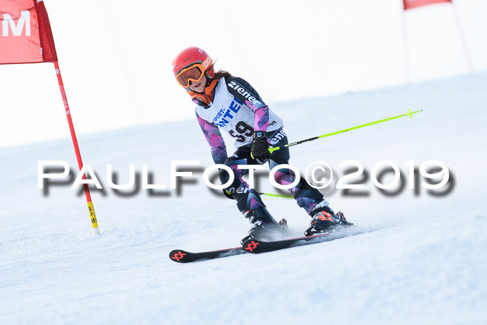 SVM U8, U10, U12, SechzgerPokal 2019