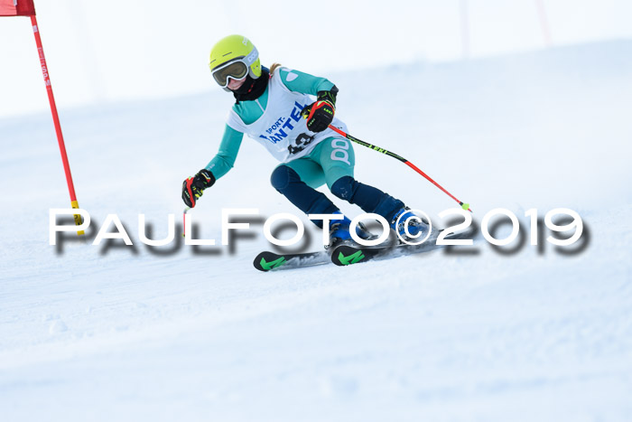 SVM U8, U10, U12, SechzgerPokal 2019