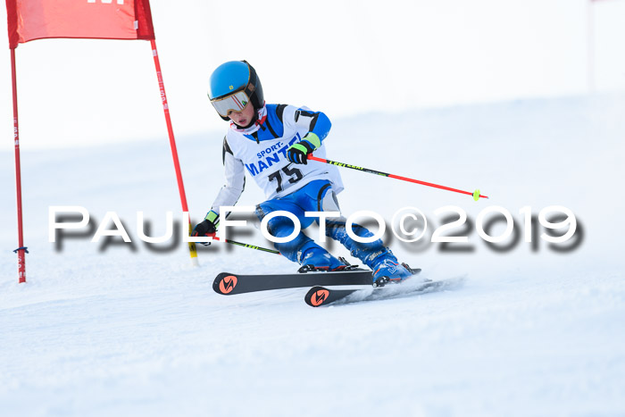 SVM U8, U10, U12, SechzgerPokal 2019