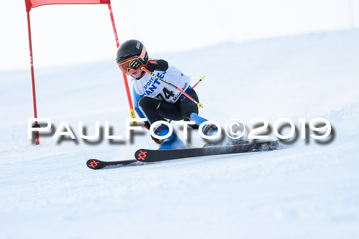 SVM U8, U10, U12, SechzgerPokal 2019
