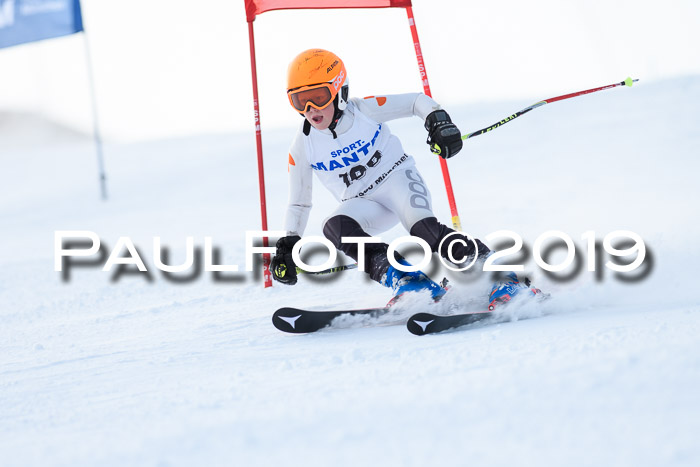 SVM U8, U10, U12, SechzgerPokal 2019