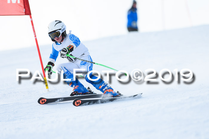 SVM U8, U10, U12, SechzgerPokal 2019