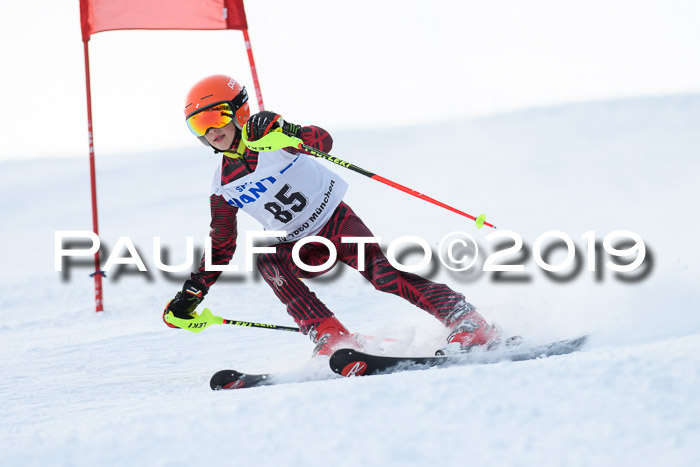 SVM U8, U10, U12, SechzgerPokal 2019