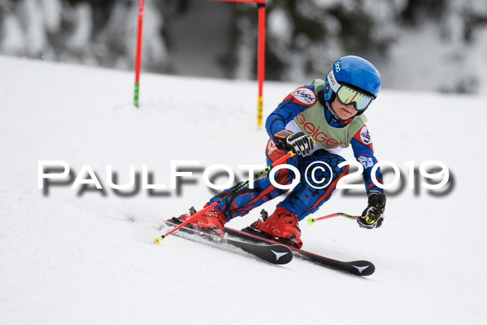 ASV - Geiger Cup 1 RS 2019