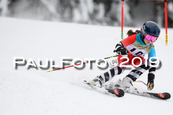 ASV - Geiger Cup 1 RS 2019