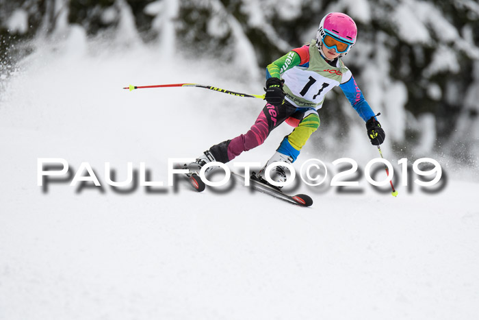 ASV - Geiger Cup 1 RS 2019