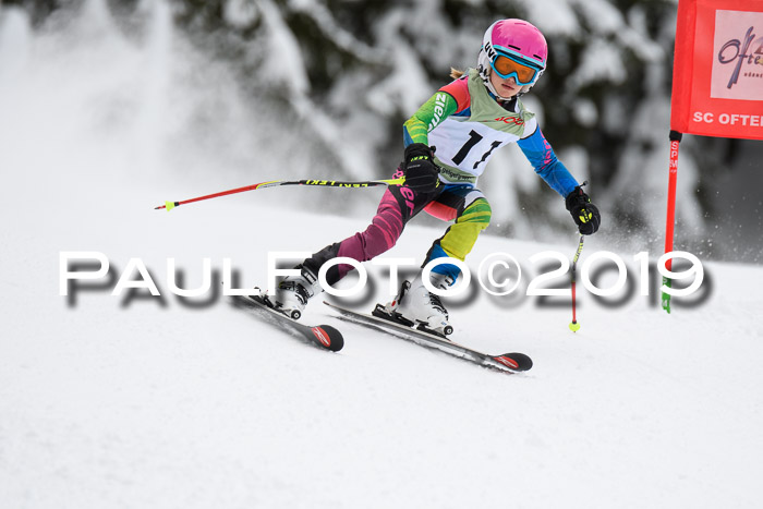 ASV - Geiger Cup 1 RS 2019