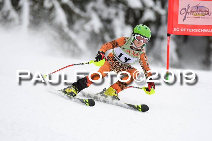 ASV - Geiger Cup 1 RS 2019