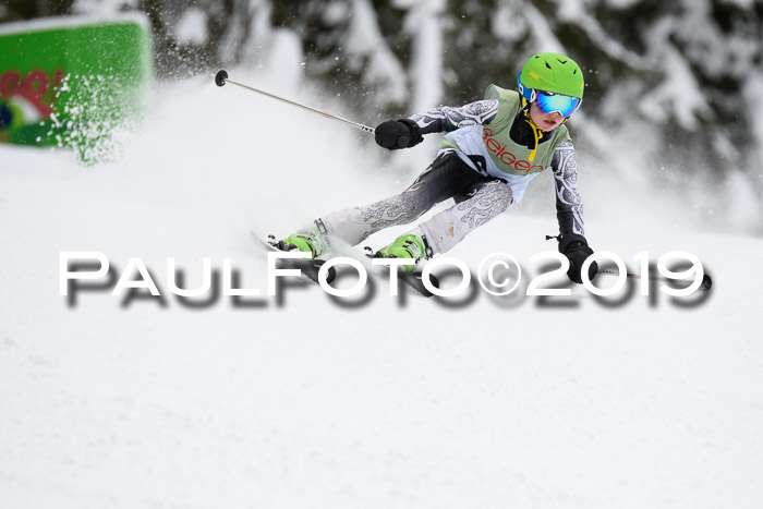 ASV - Geiger Cup 1 RS 2019
