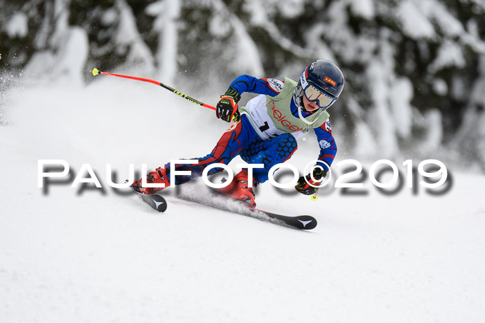 ASV - Geiger Cup 1 RS 2019