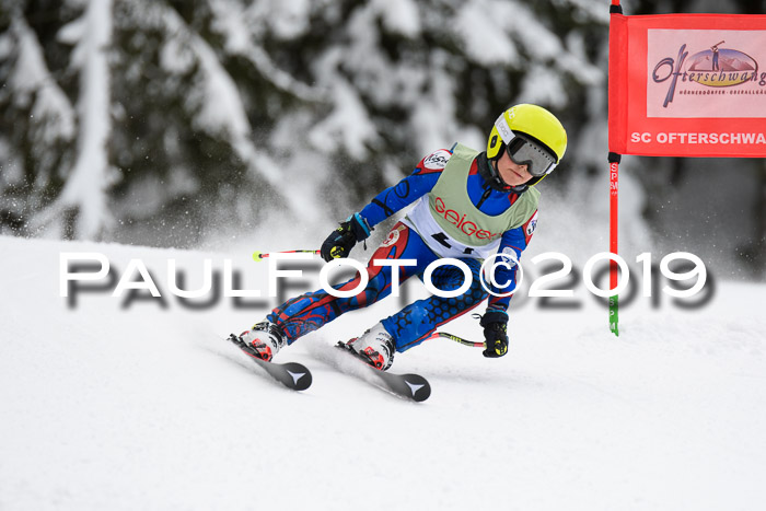 ASV - Geiger Cup 1 RS 2019