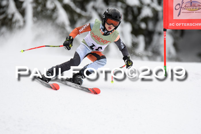 ASV - Geiger Cup 1 RS 2019