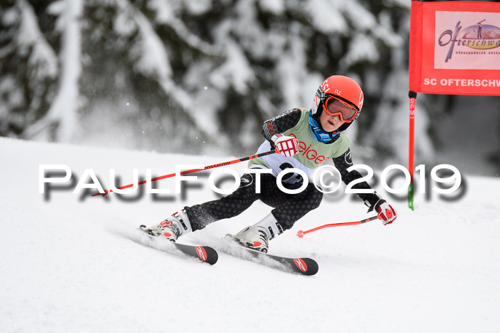 ASV - Geiger Cup 1 RS 2019