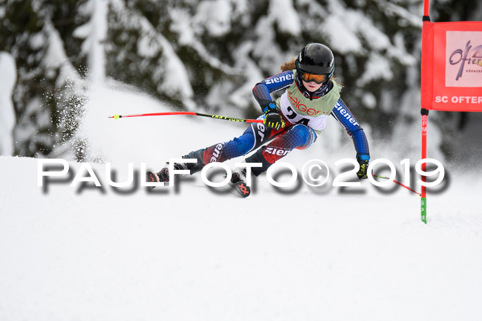 ASV - Geiger Cup 1 RS 2019