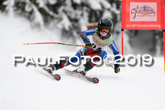 ASV - Geiger Cup 1 RS 2019