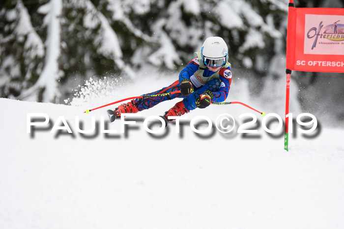 ASV - Geiger Cup 1 RS 2019