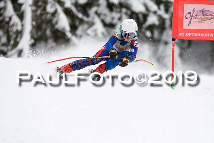 ASV - Geiger Cup 1 RS 2019
