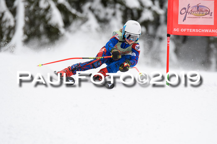 ASV - Geiger Cup 1 RS 2019
