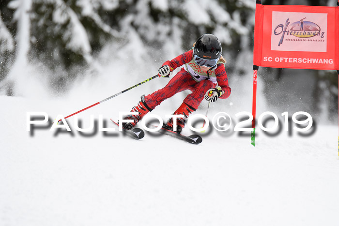 ASV - Geiger Cup 1 RS 2019