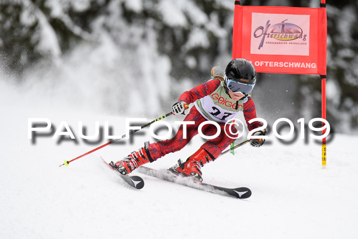 ASV - Geiger Cup 1 RS 2019