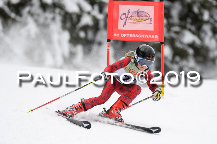 ASV - Geiger Cup 1 RS 2019
